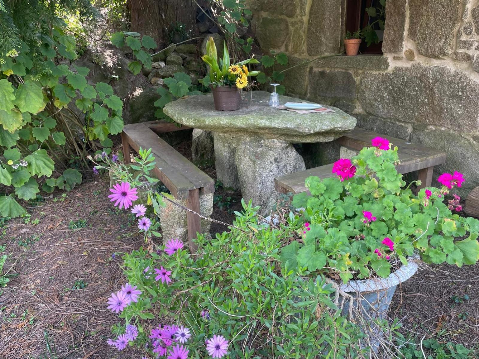 Casa di campagna A Lonquexa Do Gañán Gondomar