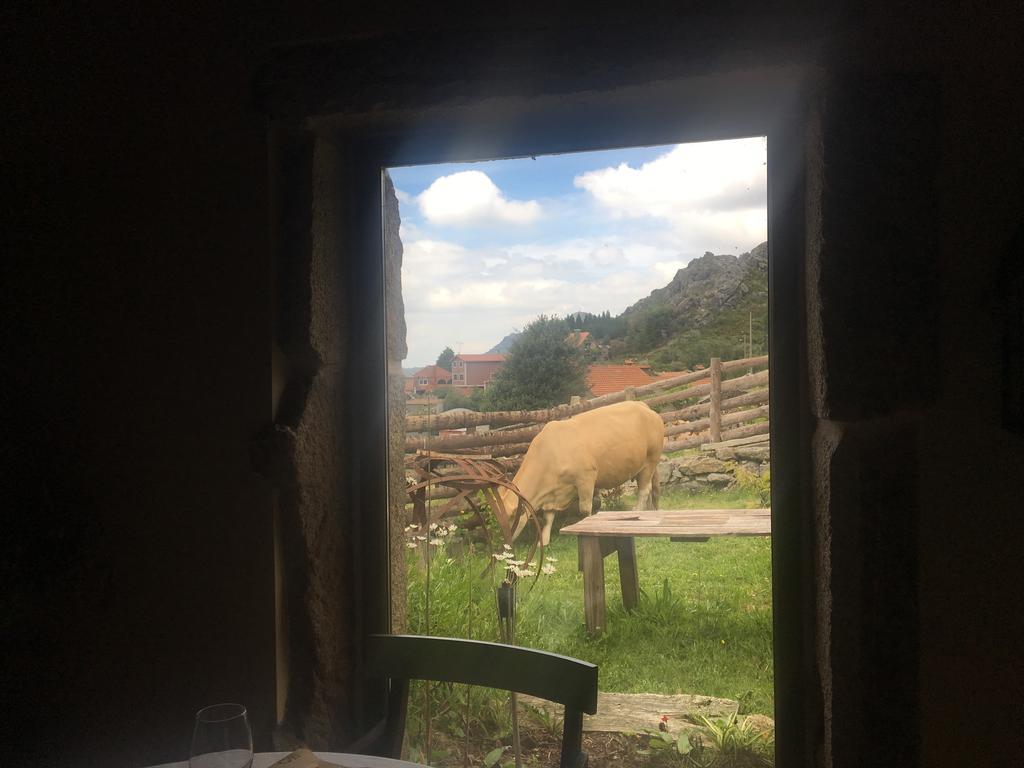 Casa di campagna A Lonquexa Do Gañán